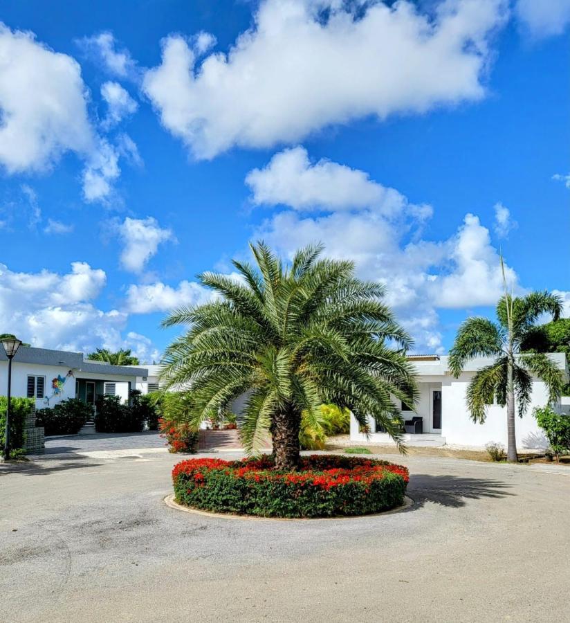 Winstonvalley Resort Willemstad Exteriér fotografie